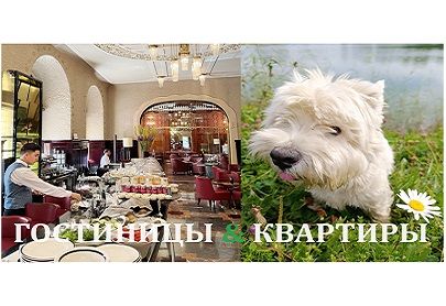 Гостиницы & квартиры